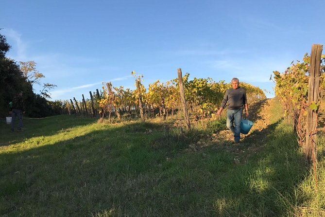 Super Tuscan & IGT wines, Evo Oil & Balsamic Vinegar Tasting - Timing, Tickets, and What to Do During the Hour