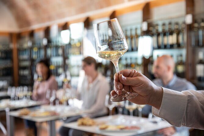 Superior Wine Tasting in San Gimignano - Key highlights you’ll feel from minute one