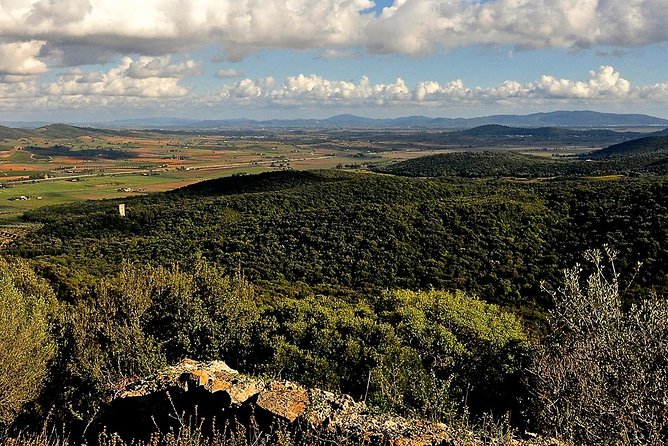 Tarot Garden and Maremma Park - Who this tour fits best