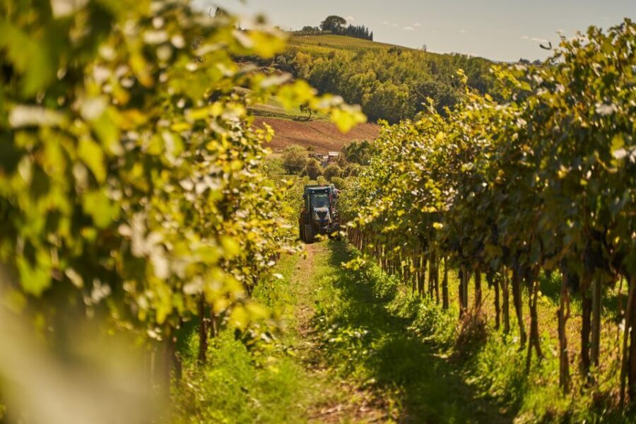 Tasting and Tour Vino Nobile di Montepulciano - Key highlights at Antico Colle (Tasting + Winery Tour)