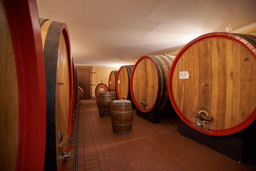 Tasting and Tour Vino Nobile di Montepulciano - Arrival and vineyard welcome near Bivio di Nottola