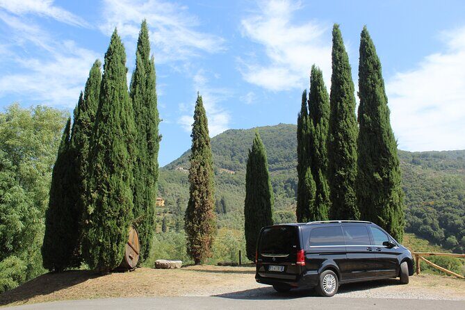 Tasting in a Tuscan Vineyard with transfer from Lucca - Key Highlights That Make This Tour Worth Your Evening