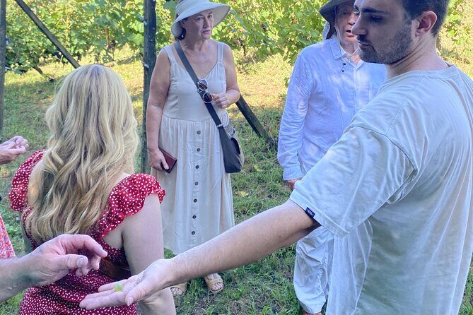 Tasting in a Tuscan Vineyard with transfer from Pisa - Key things to know before you go
