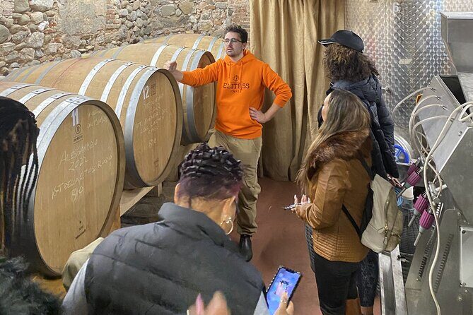 Tasting in a Tuscan Vineyard with transfer from Pisa - How the transfer works from Pisa (and why it matters)