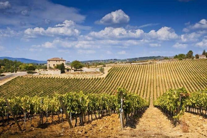 The Complete Wine Tour Brunello, Nobile, Chianti wine experience - How the Florence-to-Tuscany rhythm works (and why it matters)