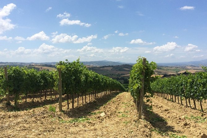 The Maremma - Stop 3: Parco Archeologico Città del Tufo (And Why Tickets Matter)