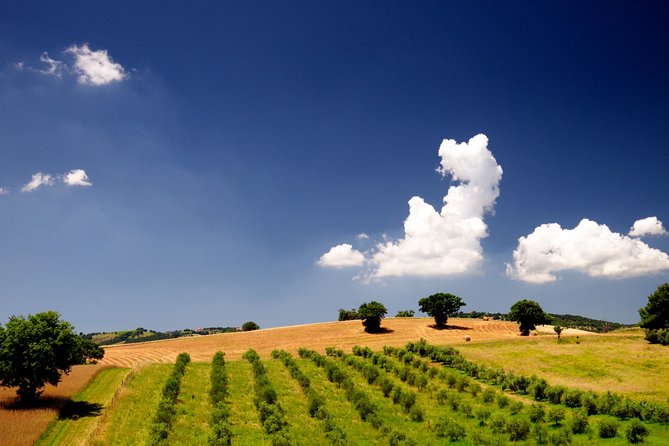 The Maremma - Price and Value: What $876.30 per Group Covers (and What It Doesn’t)