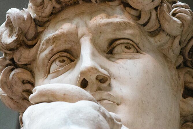 The Medici family and the Renaissance with a local art historian - Key highlights you’ll notice right away