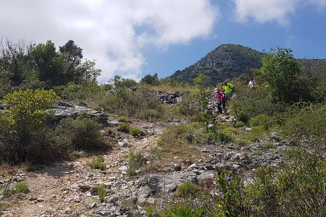 The morning Hike - Ascending Through Garrigue: What Makes This Trail Different