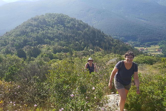 The morning Hike - What to Expect on the Ground (Timing, Pace, and Terrain)