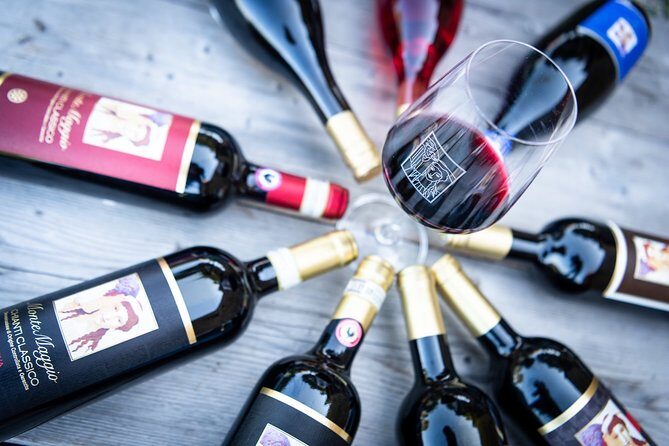 Tour and Tasting at an Organic Winery in the Heart of Chianti Classico Area - The vineyard walk: organic agriculture explained in real life