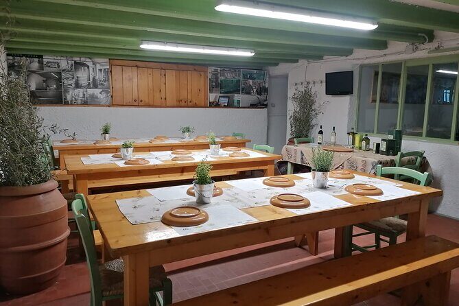 TOUR and TICKETS, VISIT TO THE MILL AND EVO OIL TASTING - The Oil Mill Tour: What You Learn About Harvest and Pressing