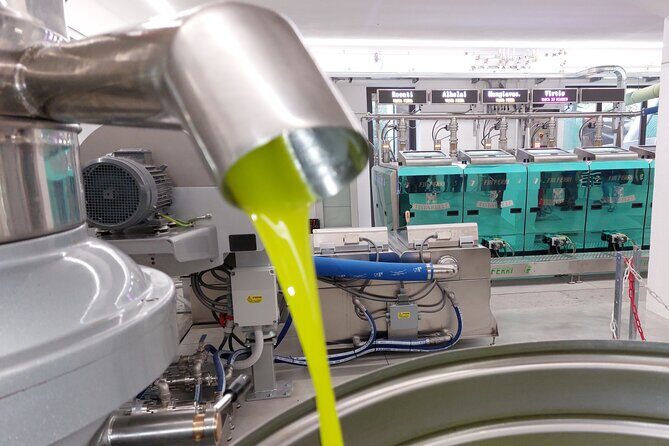 TOUR and TICKETS, VISIT TO THE MILL AND EVO OIL TASTING - EVO Tasting in the Shop: Comparing Three Oils That Actually Make Sense