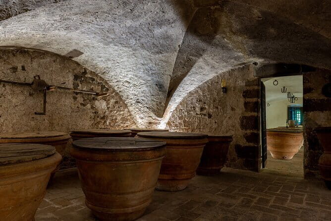 Tour of 900year old secret cellars + tasting of 3 wines and bread with EVO oil - EVOO Tasting: Why Olive Oil Belongs on Your Florence List