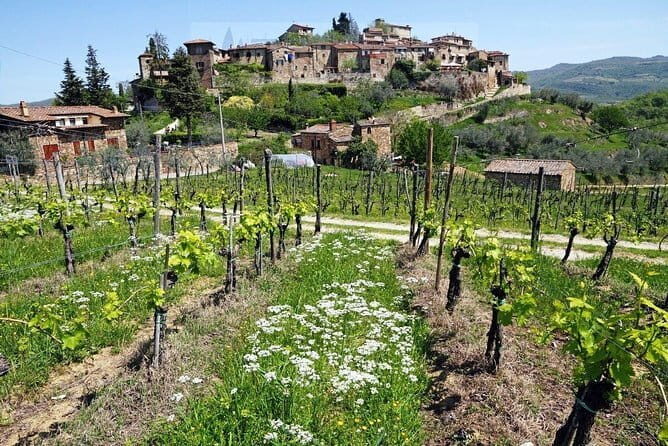Tour of Chianti for small groups departing from Florence or surroundings - Key things that make this Chianti day work