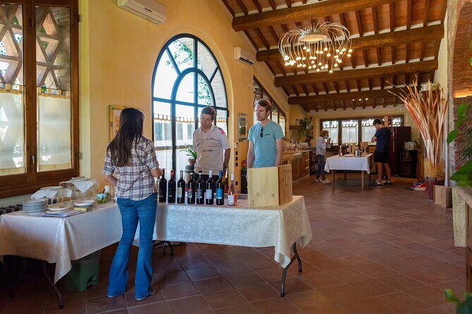 Tour of the cellar and tasting of 6 wines - Key things to know before you go