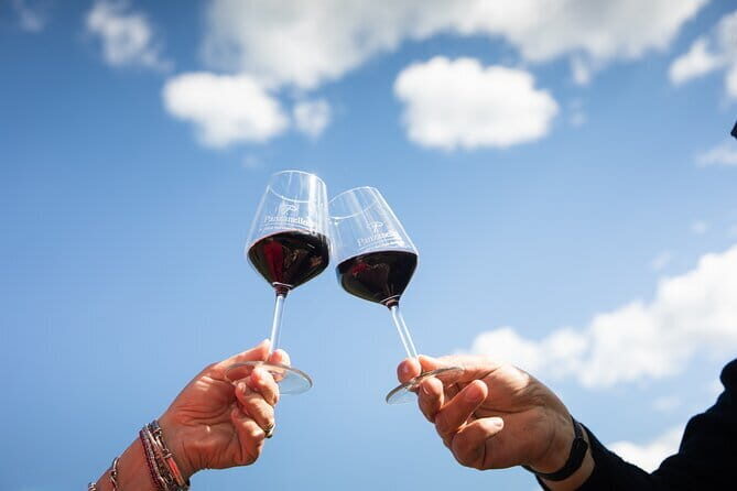 Triumph of Flavors, Winery Tour, Organic Wines in Panzano in Chianti - Quick takeaways before you go