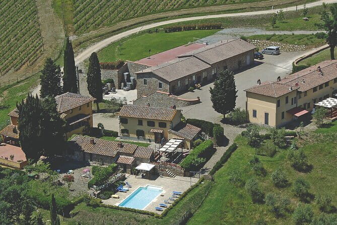 Triumph of Flavors, Winery Tour, Organic Wines in Panzano in Chianti - Panzanello in Panzano: the quick winery stop you can fit into your day