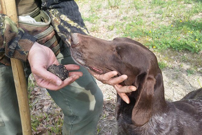 Truffle Hunt & Bio Lunch in Assisi - From Assisi to Capodacqua: Where the day starts and how you’ll move