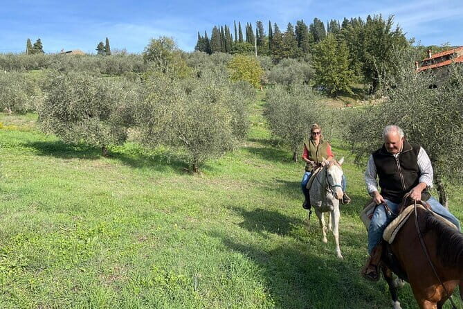 Truffle hunt, Lunch, Horse riding, a top half-day near Florence - The 1-Hour Horse Ride: Beginner-Friendly, Not Babyish