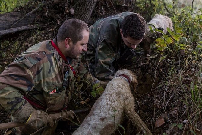 Truffle hunting - Truffle hunting in Tuscan woods: what makes this one special
