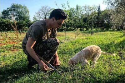 Truffle hunting - Your first 15 minutes: truffles explained, dogs trained, rules set
