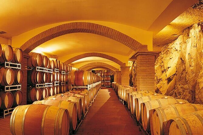 Truffle hunting and lunch experience, with Vinci and winery. - Why San Miniato truffle hunting is the real Florence-country mix