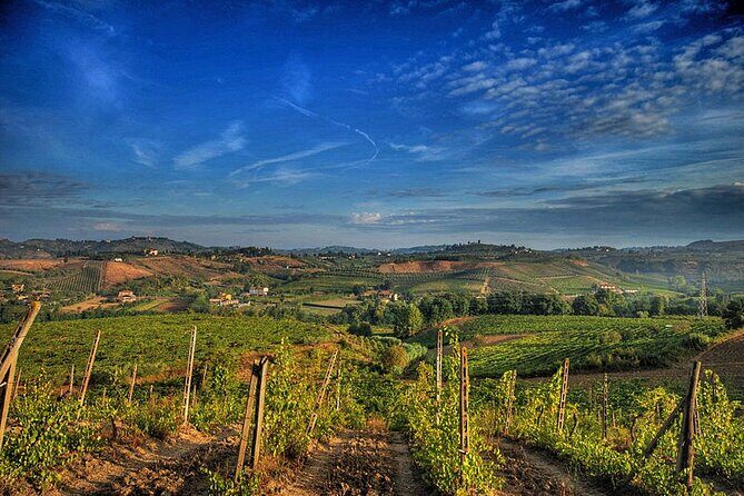 Truffle hunting and lunch experience, with Vinci and winery. - San Miniato after hunting: the historic center and rocca Federiciana walk
