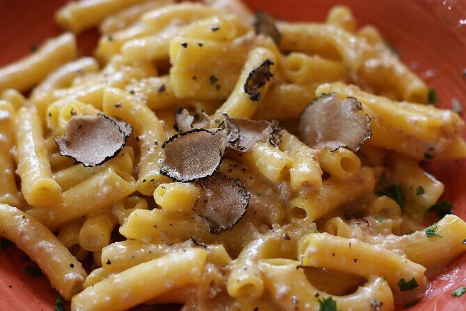 Truffle hunting and lunch experience, with Vinci and winery. - Price and value: is $572 per person fair for this full day?