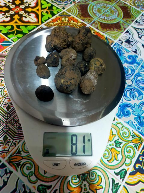 Truffle Hunting Experience with a Guide - Tips to make your day smoother