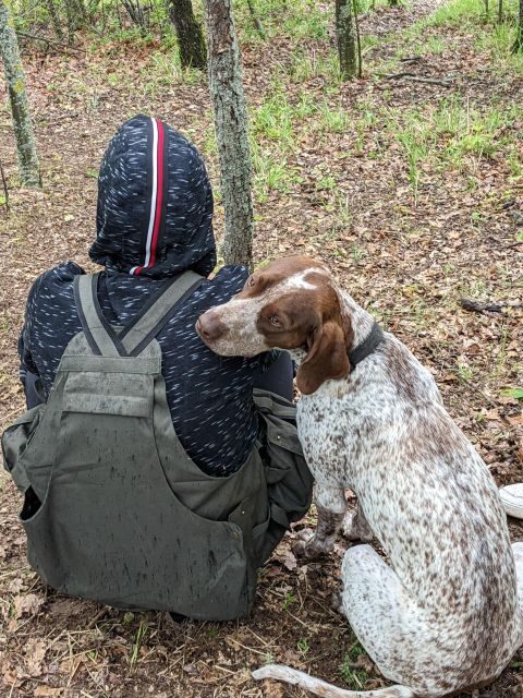 Truffle Hunting Experience with a Guide - Following scent through woods and along the water