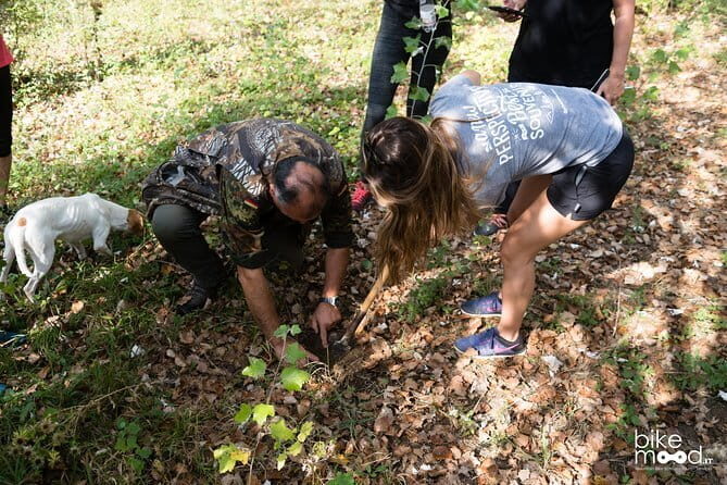 Truffle hunting + gourmet tasting (transfer included) - Florence truffle hunting: why this feels hands-on (not just eat-and-leave)