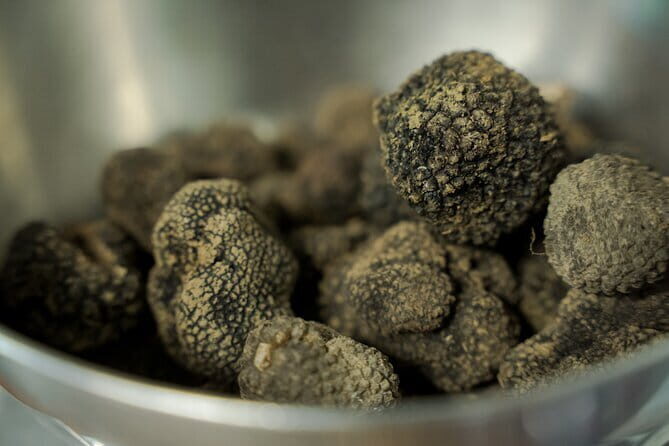 Truffle hunting + gourmet tasting (transfer included) - Meet the expert hunter and his trained dog (and learn the signals)