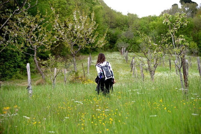 Truffle hunting + gourmet tasting (transfer included) - The lunch: Tuscan truffle tasting with a proper plated meal