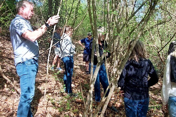 Truffle Hunting in Chianti, pasta class and lunch - How the truffle search works (and why the dog matters)