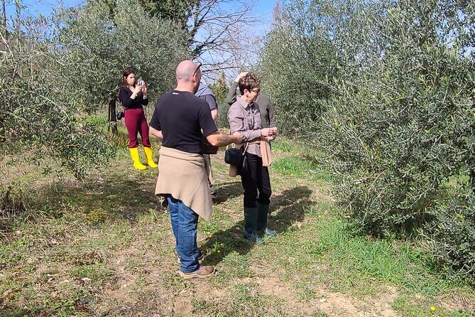 Truffle Hunting in Chianti, pasta class and lunch - Price and timing: what you’re paying for and why it adds up