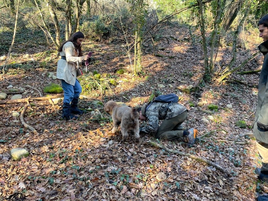 Truffle hunting in Chianti with pasta cooking class & lunch - Key moments that make this Chianti day worth it