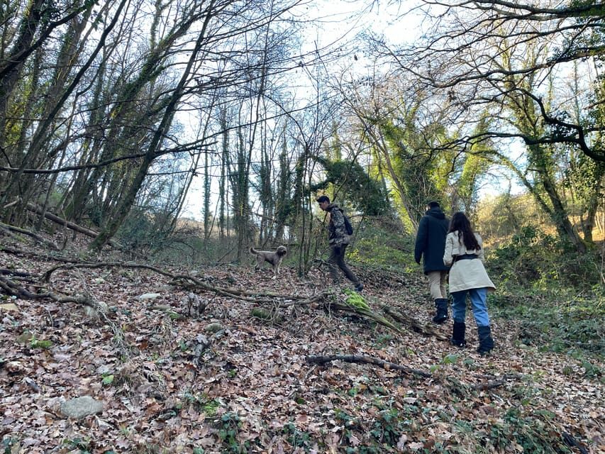 Truffle hunting in Chianti with pasta cooking class & lunch - The pasta-making class: tagliatelle, not a worksheet