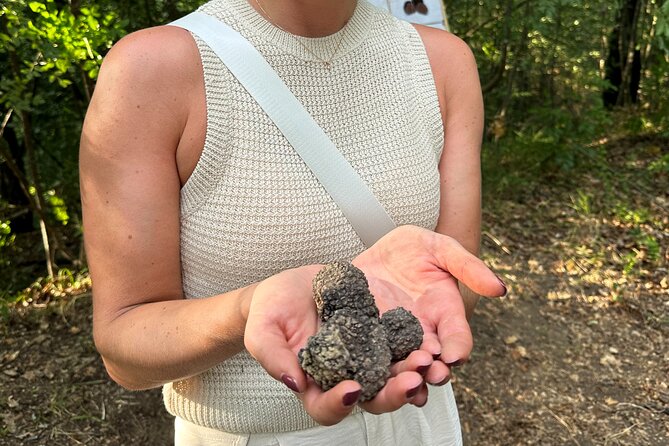 Truffle Hunting in San Gimignano - Taking truffles home: tasting now, using them later