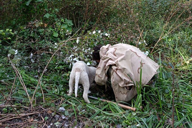 Truffle Hunting in San Miniato in Tuscany with Tasting - Key Highlights You’ll Feel Immediately