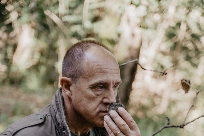 Truffle Hunting in Tuscany - Entering Tuscany’s Truffle Woods for a Real-World Hunt