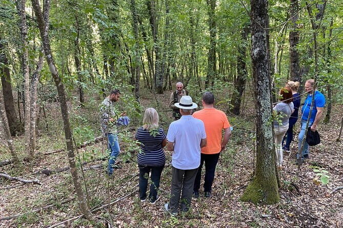 Truffle Hunting in Tuscany (private tour) - Watching truffle dogs work: training tips you can use