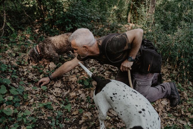 Truffle Hunting in Tuscany - How the Two Hours Unfold: Search, Find, and the Weighing Moment