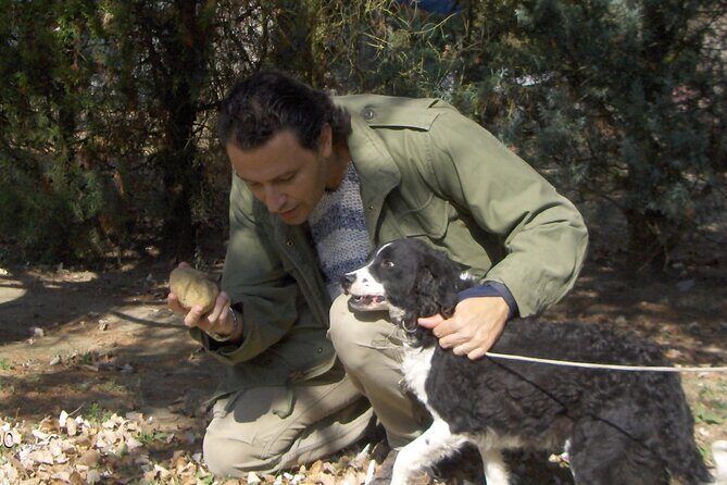 Truffle Hunting & Tasting in San Miniato Tuscany with Dogs - The woods walk at Tartufi Nacci: watching the truffle hunt in real time