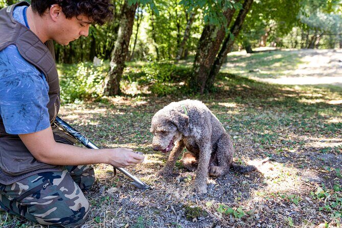 Truffle Hunting & Truffle Cooking Class - Podere La Marronaia and the biodynamic farm setting