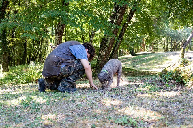 Truffle Hunting & Truffle Cooking Class - Should you book this truffle hunt and cooking class?