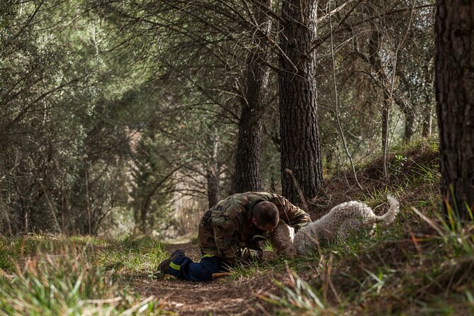 Truffle Lunch & Hunting Experience in San Gimignano - San Gimignano truffle hunting at Podere la Marronaia: what you’re really buying