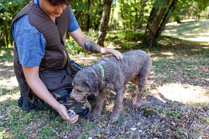 Truffle Lunch & Hunting Experience in San Gimignano - The truffle lunch menu: what you’ll eat course by course
