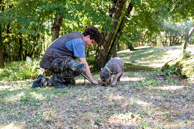 Truffle Lunch & Hunting Experience in San Gimignano - Timing, pace, and logistics that affect your day