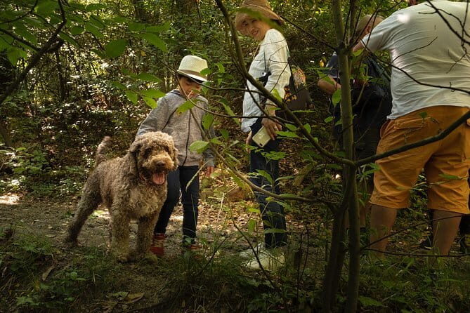Truffle Picking Experience with 3 Course Meal in Chianti hills - Key Things to Know Before You Go